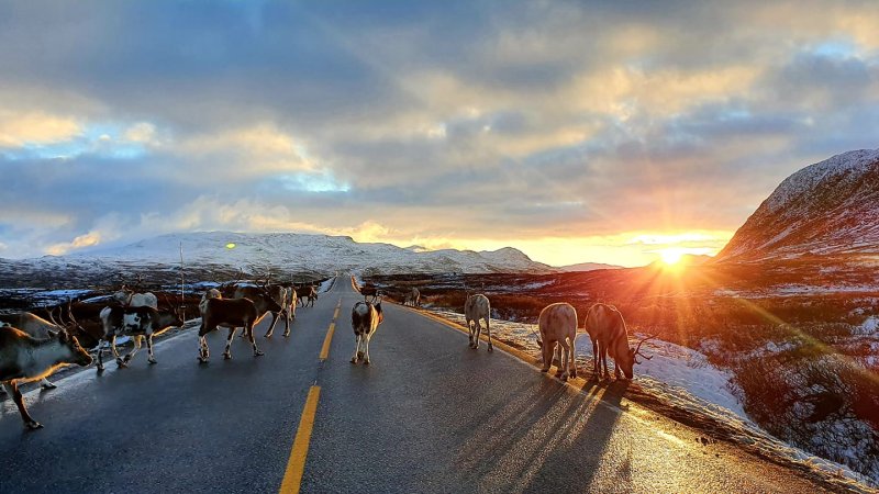 Ein gjeng kledd i kvitt og svart